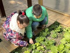 -协和实验幼儿园