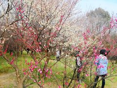 -蜀冈西峰生态公园