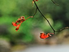 -苏州河梦清园环保主题公园