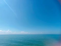 -广东惠东海龟国家级自然保护区
