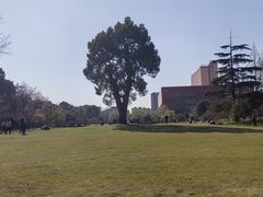 -上海财经大学(国定路校区)