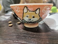 -逗柴咖啡屋·狗咖猫咖宠物桌游