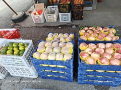 -大连果菜批发市场