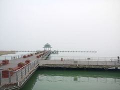 android_upload_pic-新木器时代餐厅(太湖新天地店)
