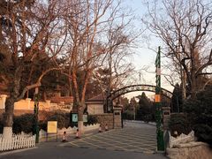 -青岛德国总督楼旧址博物馆