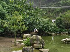 -黔灵山公园