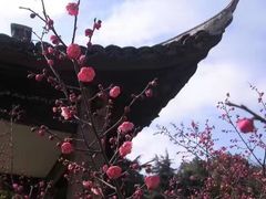 -西安青龙寺遗址景区