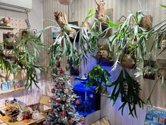 -Rabbit Cafe私房西餐甜点咖啡(栖霞路店)