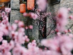 -回龙窝历史文化街区