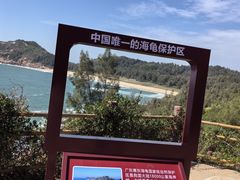 -广东惠东海龟国家级自然保护区