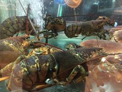 -稻香迎囍皇宫(港惠店)