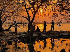 -宝安西湾红树林湿地公园