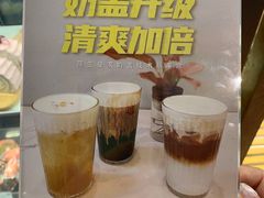 -WHEN PIGS FLY当猪飞