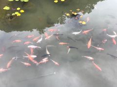 景点-滴水壶景区