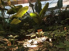 iphone_upload_pic-汤山翠谷生态餐厅
