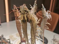 -海月轩海鲜豆捞(紫金塔店)