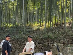 -东明山森林公园