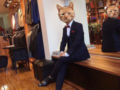 -宇翔服饰(双井桥东首城国际店)