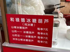 -和禄德冰糖葫芦