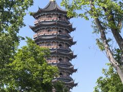 -葛仙湖公园