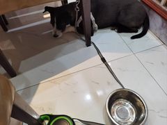-西旗羊肉火锅城