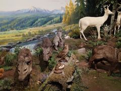 -陕西自然博物馆