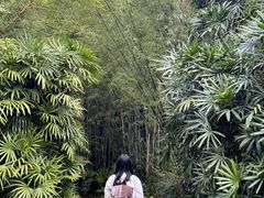 -人民公园(罗湖区)