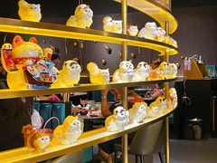 -黄晓猫剁椒大鱼头(海岸城店)