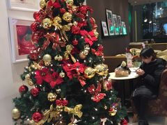 -哈根达斯(石家庄北国店)