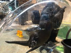 -波塞冬旅游度假区