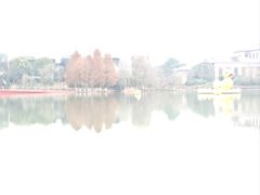 -青枫公园