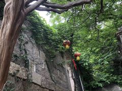 -青岛崂山太清宫