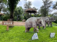 -北京野生动物园