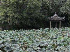 -绍兴东湖风景区