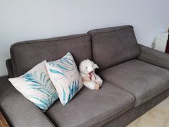 -宜家家居(哈尔滨商场店)