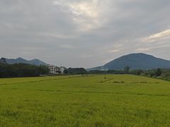 -艾米稻香小镇