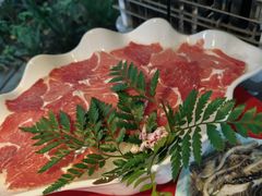 -二荆条·蜀鲜汇城市森林火锅