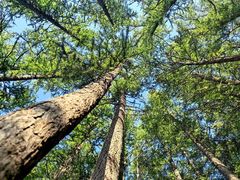 -白草畔自然风景区