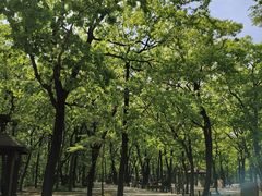 -沈阳市东陵公园