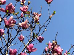 -桃花涧