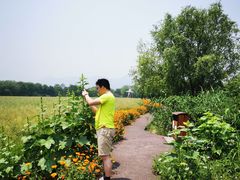 -长兴太湖图影湿地文化园
