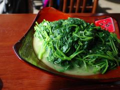 地瓜叶-朗妈私房菜(婺女州店)