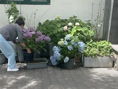-山茶云南菜(永安里店)