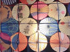 -祥源·阜阳生态乐园