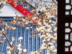 -堤角公园