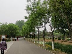 -东郊湿地公园