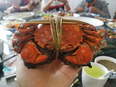 -七的湖·晚芳亭·阳澄湖农家菜·大闸蟹(莲花岛店)