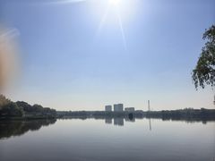 -大兴滨河森林公园