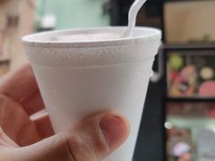-洪馨椰子
