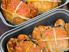 -黄记大闸蟹专卖店·活蟹·醉蟹